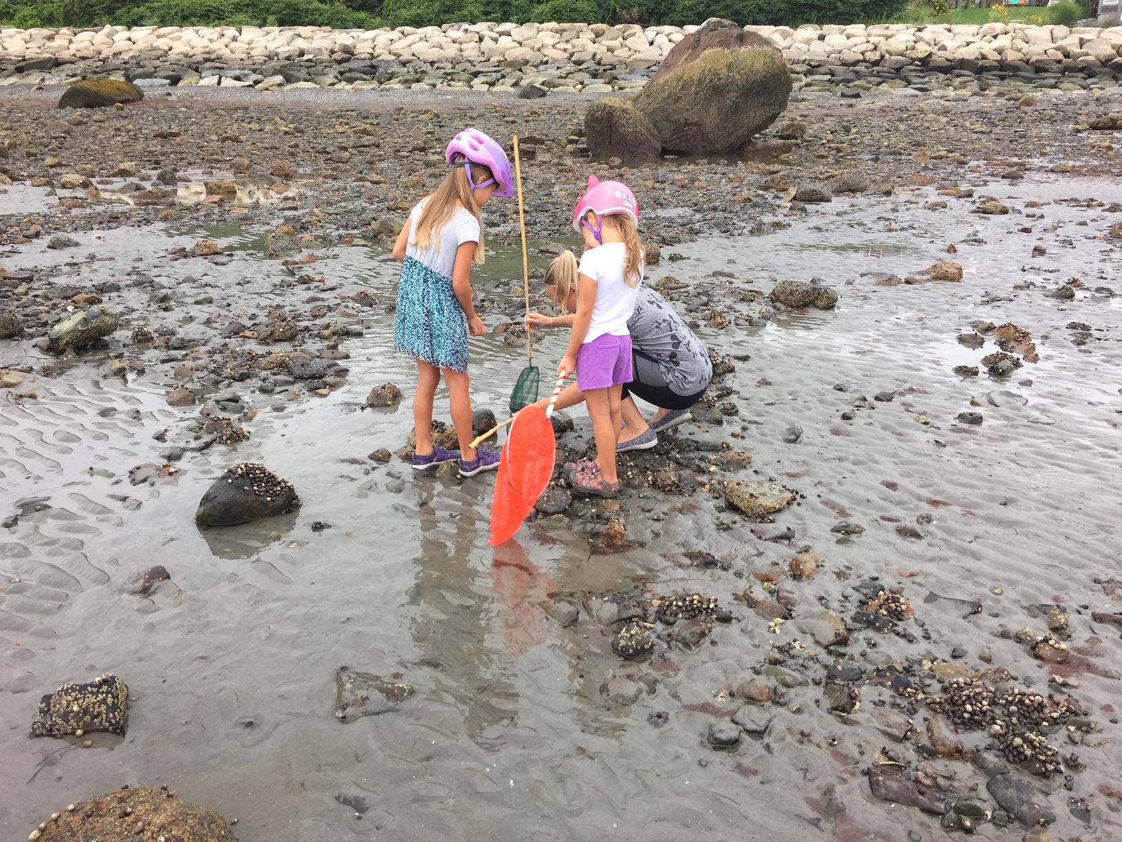 Gallery window.dataLayer = window.dataLayer []; function gtag