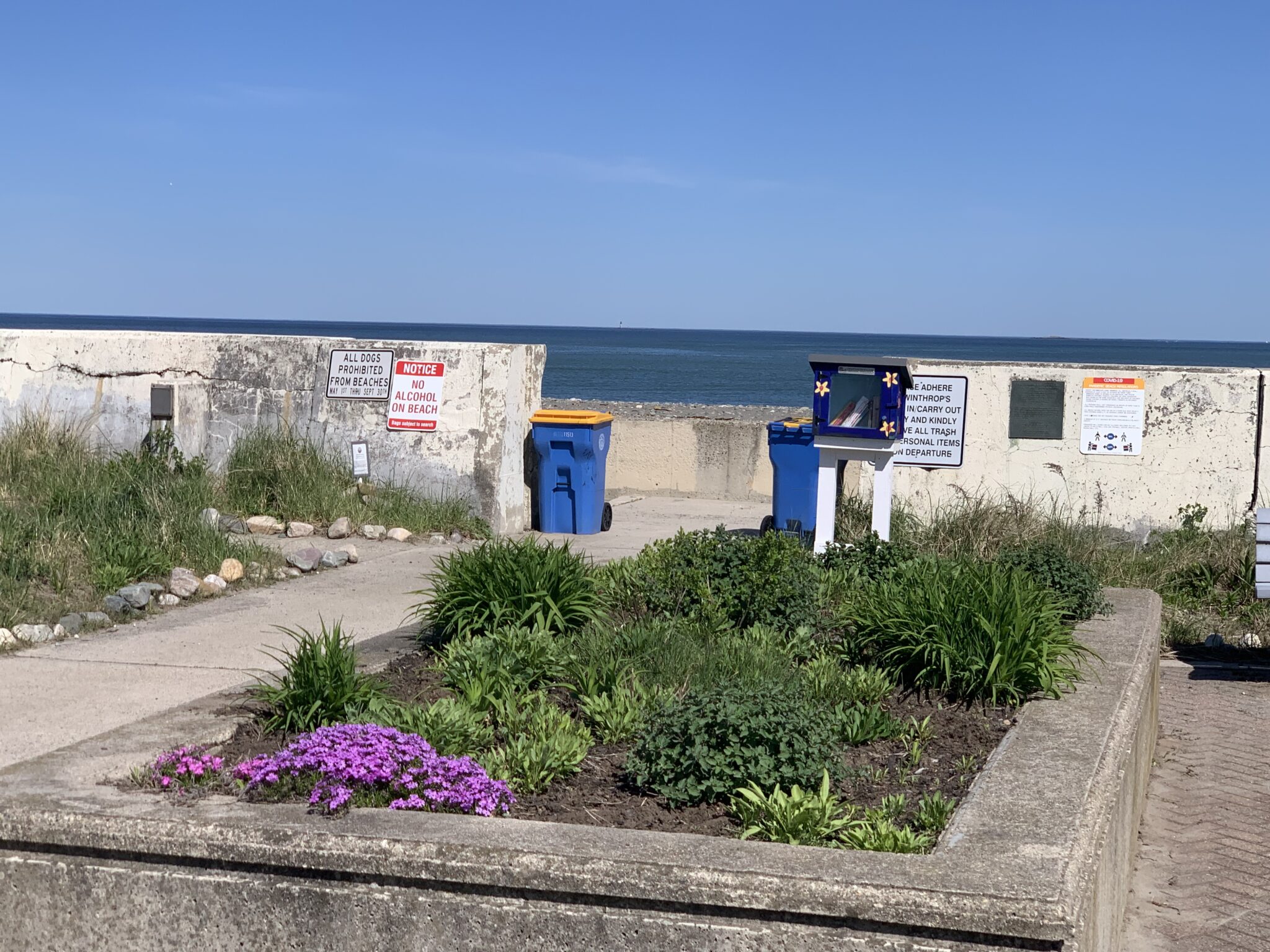 beach-yirrell-beach-friends-of-winthrop-beach-winthrop-massachusetts